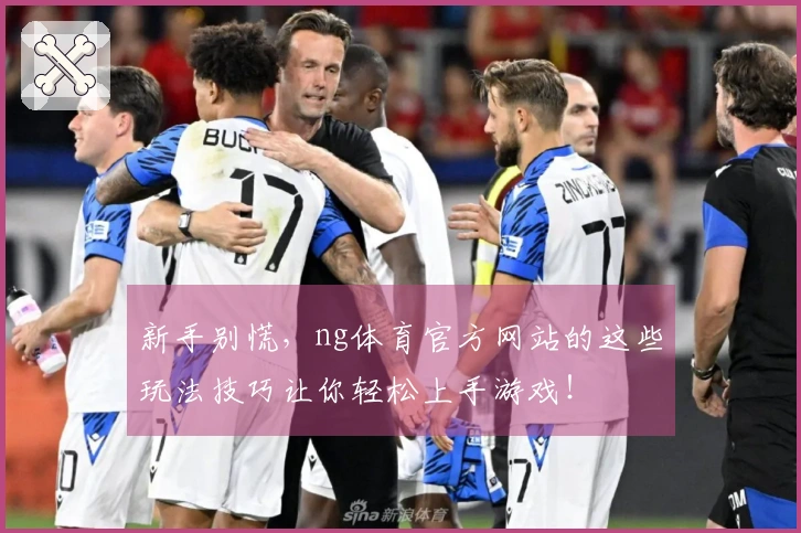 新手别慌，ng体育官方网站的这些玩法技巧让你轻松上手游戏！