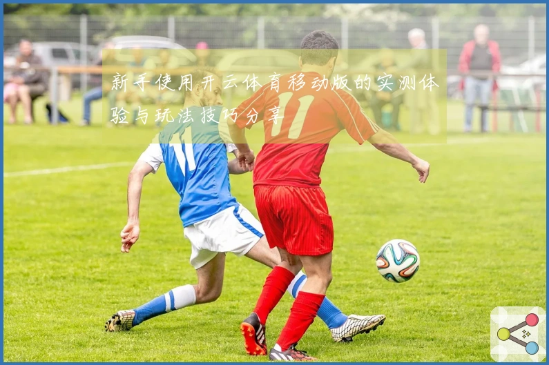 新手使用开云体育移动版的实测体验与玩法技巧分享
