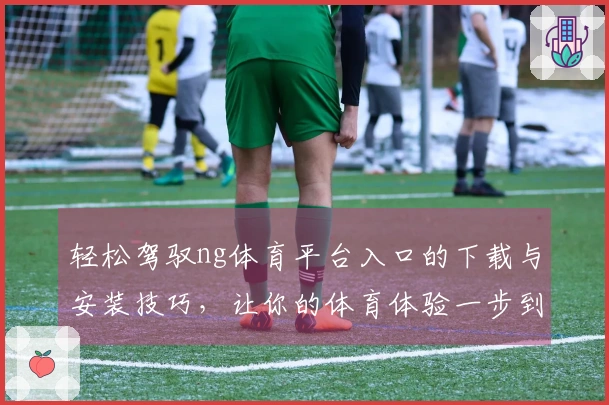 轻松驾驭ng体育平台入口的下载与安装技巧，让你的体育体验一步到位