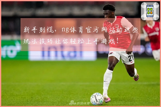 新手别慌，ng体育官方网站的这些玩法技巧让你轻松上手游戏！