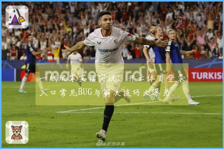 一线玩家实话实说：开云体育登录入口常见BUG与解决技巧大曝光