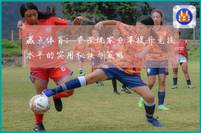 赢点体育：资深玩家分享提升竞技水平的实用秘诀与策略